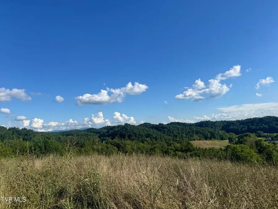 1430 Roaring Fork Road, Greeneville, TN 37745 - #3