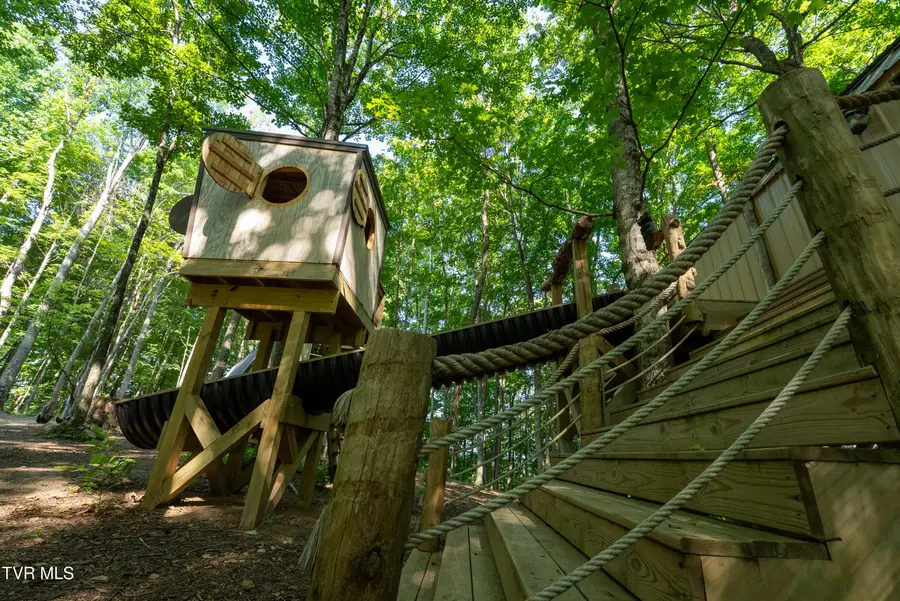 517/Ac Tbd Gregory Road, Sneedville, TN 37869 - Image #3