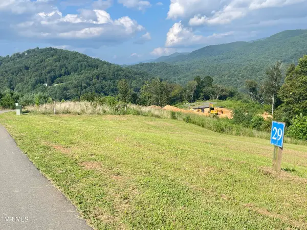 Tbd Cowan Town Road, Mountain City, TN 37683