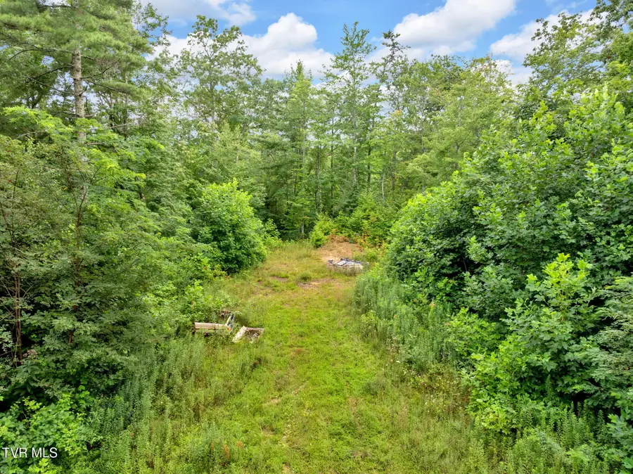 162 Murph Potter Lane, Roan Mountain, TN 37687 - Image #2