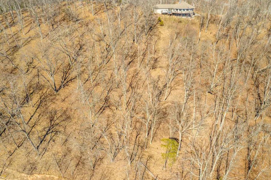 1167 Keetoowah Drive, Mooresburg, TN 37811 - Image #3