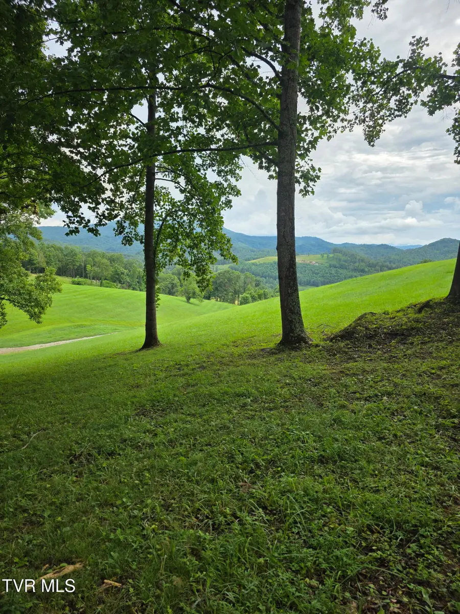 Lot 36 Summerfield Drive, Butler, TN 37640 - Image #2