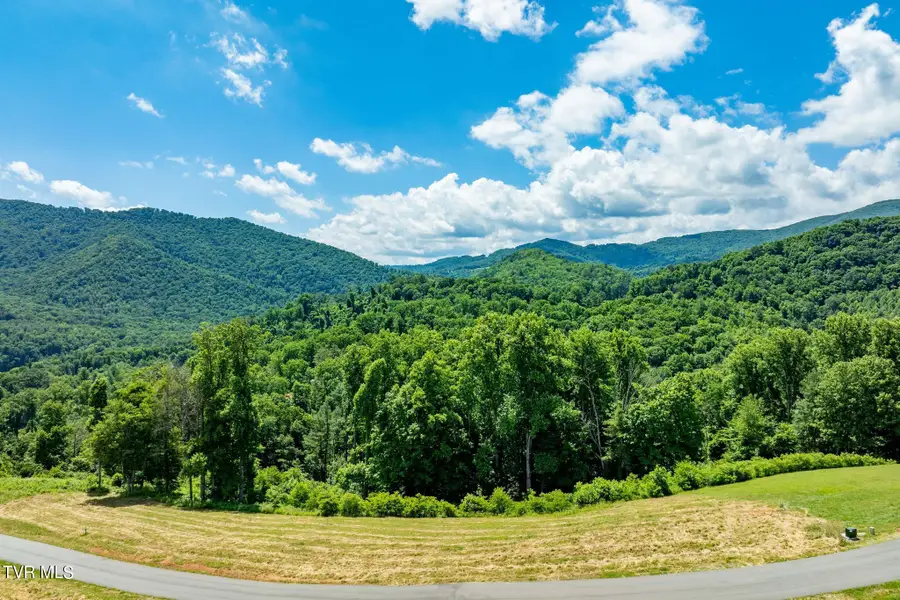 Lot 28 Eagle Ridge Parkway, Butler, TN 37640 - Image #3