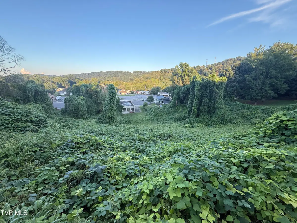 Lot 16 Birdwell, Kingsport, TN 37664 - Image #1
