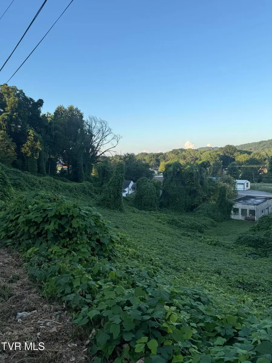 Lot 16 Birdwell, Kingsport, TN 37664 - Image #2