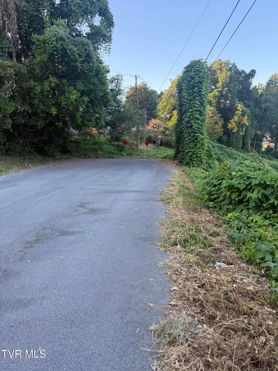 Lot 16 Birdwell, Kingsport, TN 37664 - Image #3