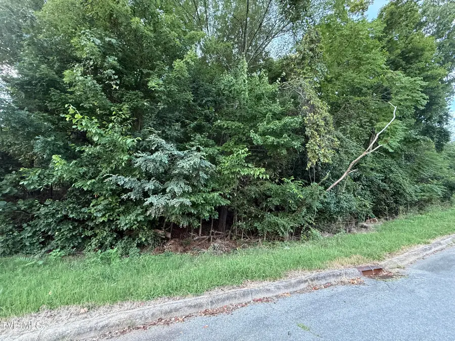 0 Maywood & Welch Drive, Kingsport, TN 37660 - Image #3