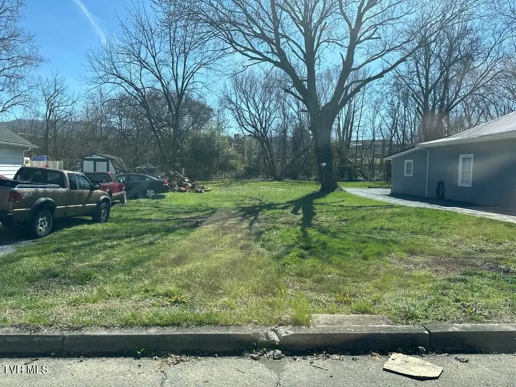 1821 Mary Street, Johnson City, TN 37604 - Image #1