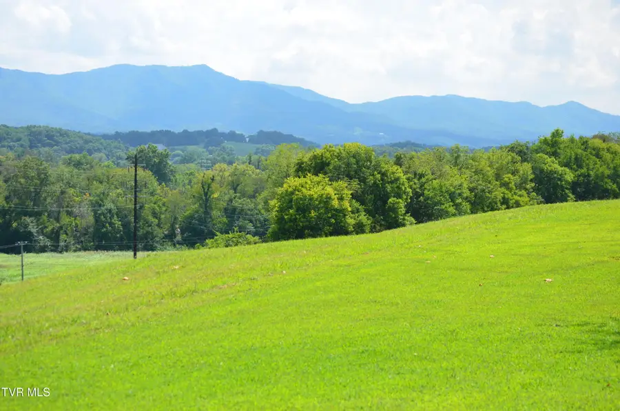 Lot 15 Golf Villa Drive, Greeneville, TN 37743 - Image #3