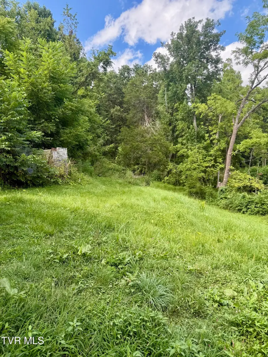 116 Jc Vines Road, Hampton, TN 37658 - Image #2