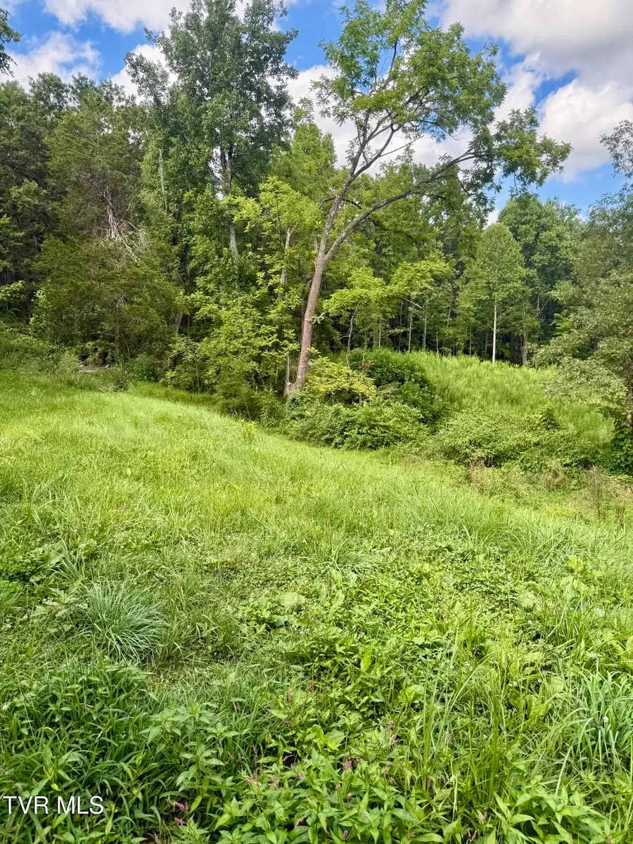 116 Jc Vines Road, Hampton, TN 37658 - Image #3