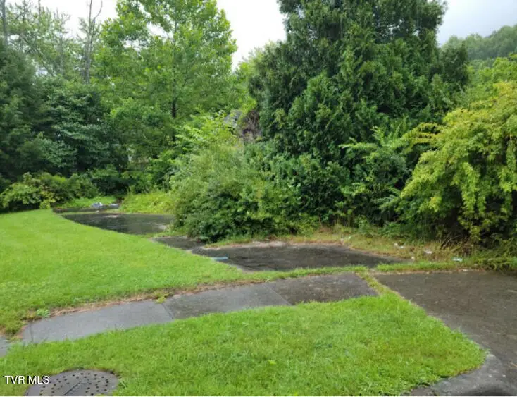 103 Southwest Locust Avenue, Norton, VA 24273 - Image #2