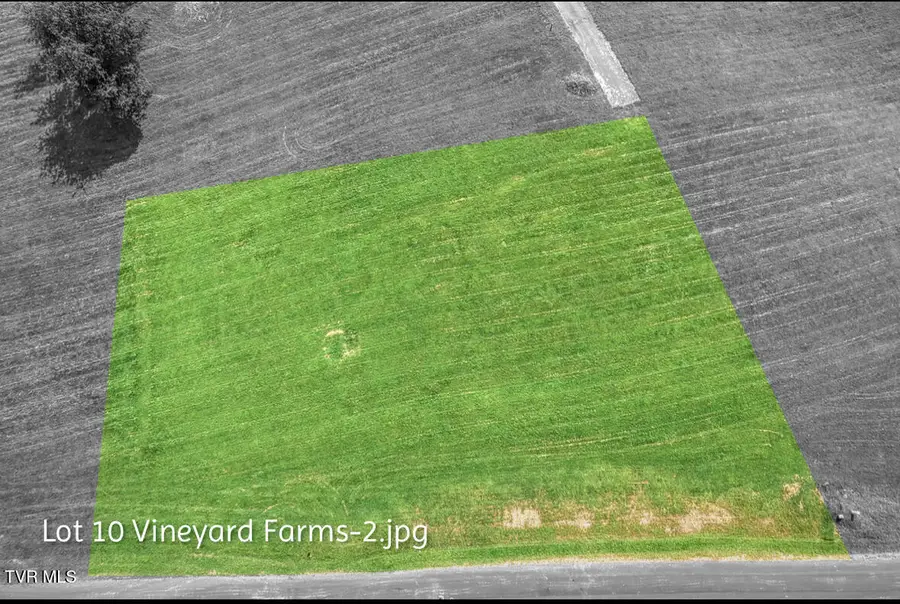 Lot 10 Dry Hill Road, Butler, TN 37640 - Image #2