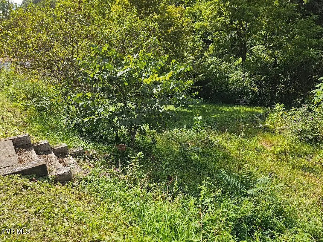 8835 Maple Road, Pound, VA 24279 - Image #1