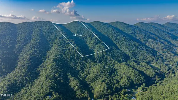 Tbd Mendota Road, Mendota, VA 24270