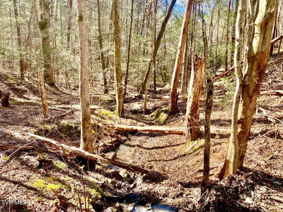 2295 Kelley Gap Road, Greeneville, TN 37743 - Image #3