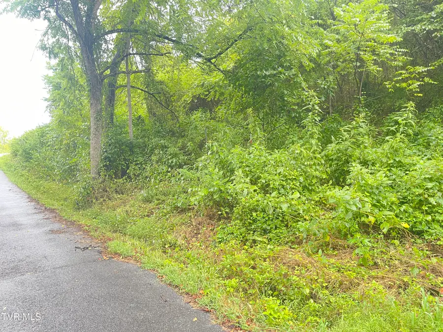 00 Hoover Road, Greeneville, TN 37743 - #2