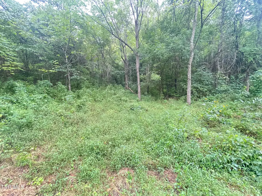 00 Hoover Road, Greeneville, TN 37743 - #3