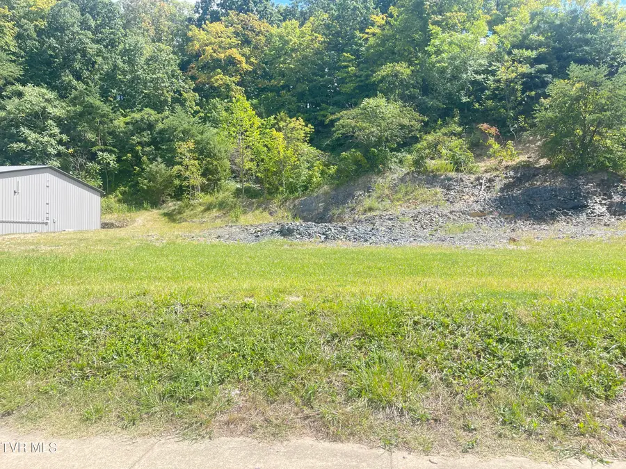 106 Water Street, Johnson City, TN 37601 - Image #3