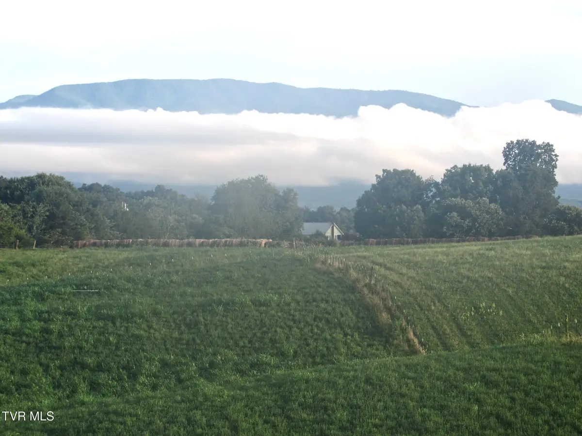 Tbd Old Stage Road, Limestone, TN 37681 - Image #1