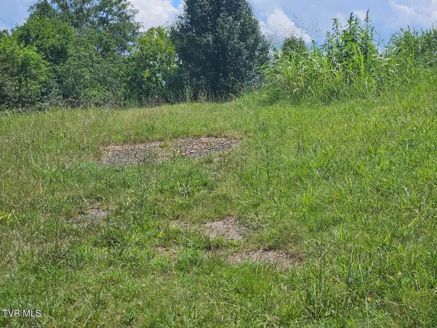 Tbd Old Stage Road, Limestone, TN 37681 - Image #3