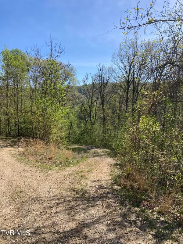 Tbd Tulip Poplar Trail Extension, Butler, TN 37640