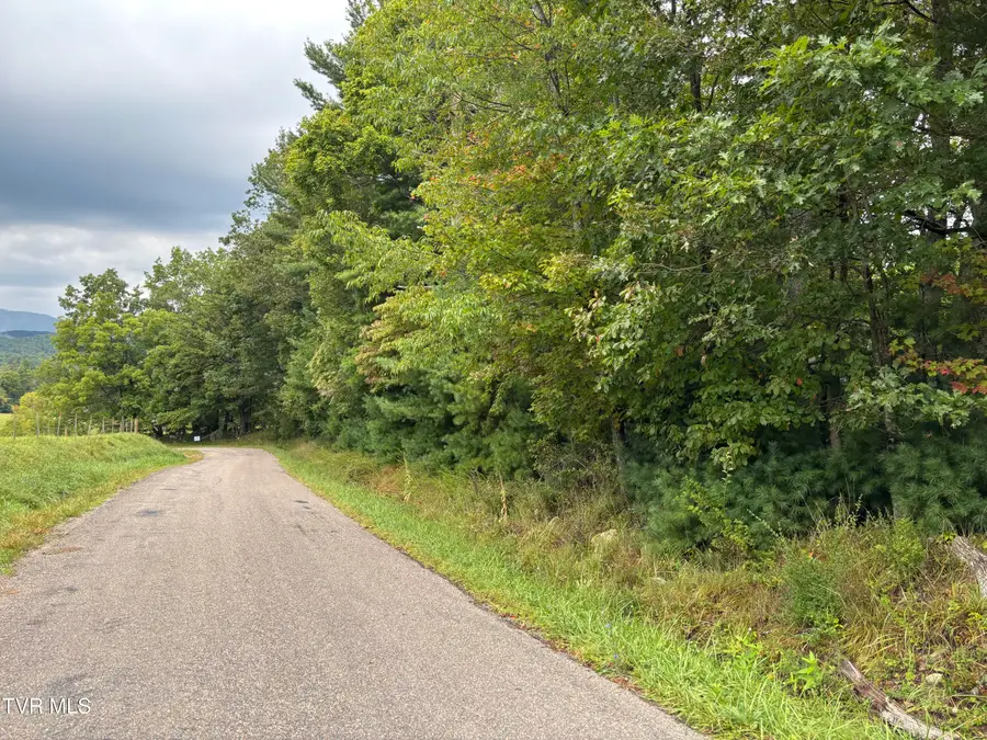 Lot 2 Locust Gap Road, Mountain City, TN 37683 - Image #2