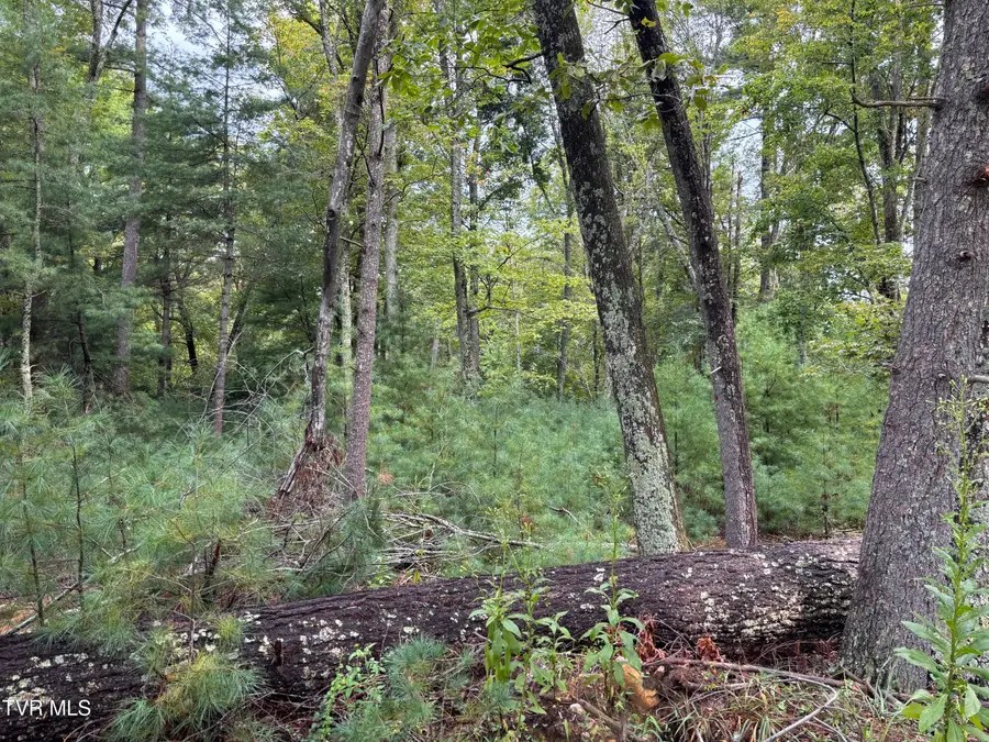 Lot 2 Locust Gap Road, Mountain City, TN 37683 - Image #3