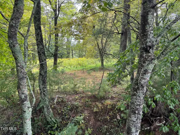 Lot 3 Locust Gap Road, Mountain City, TN 37683