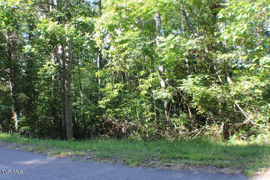 Tbd Deer Creek Xing, Mountain City, TN 37683 - Image #3