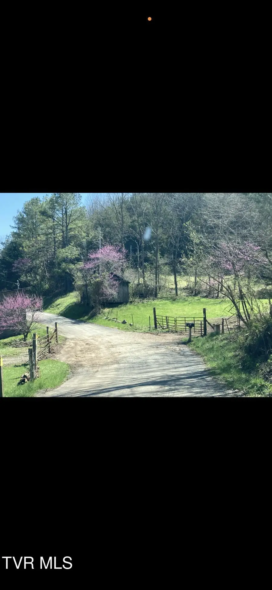 5384 Clinch Mountain Road, Eidson, TN 37731 - #3