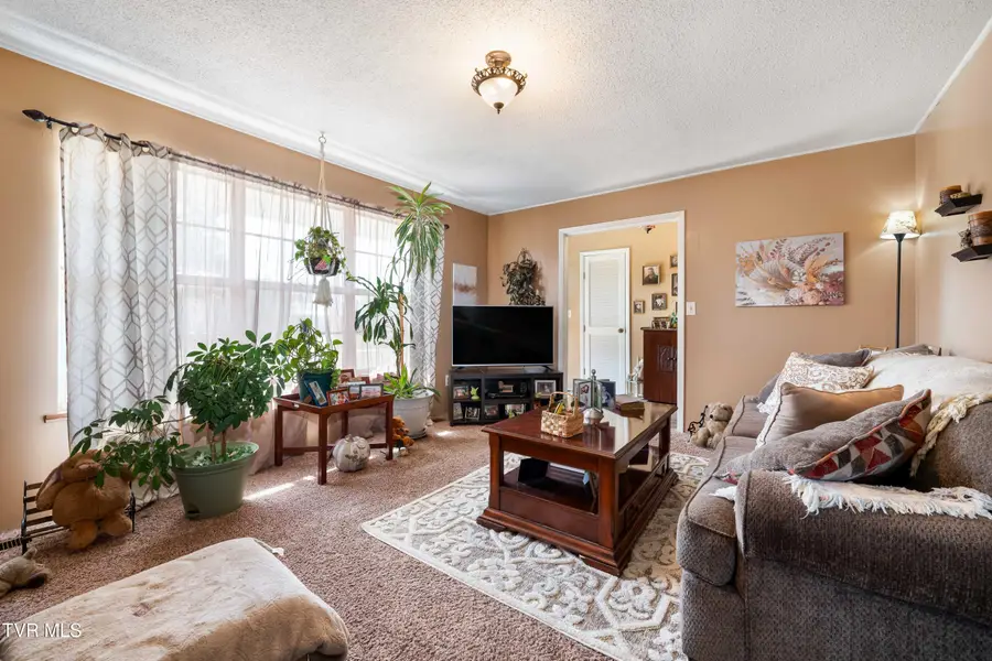 71 Goddard Drive, Greeneville, TN 37745 - Image #2