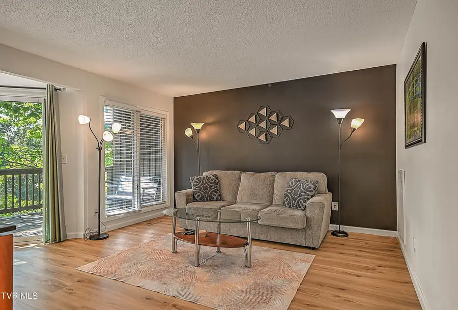 305 Hickory Bluff #305, Johnson City, TN 37601 - Image #3
