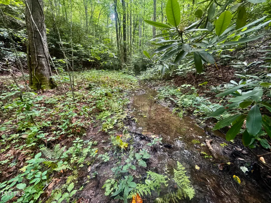 3260 Gulf Road, Hartford, TN 37753 - Image #2