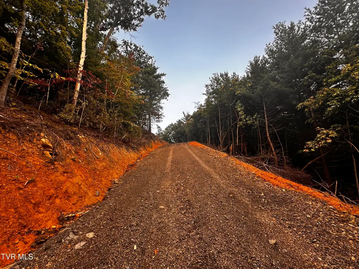 1700 Kelley Gap Road, Greeneville, TN 37743 - #1