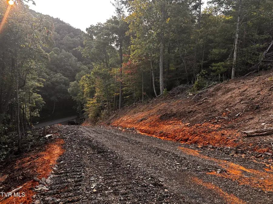 1700 Kelley Gap Road, Greeneville, TN 37743 - #2