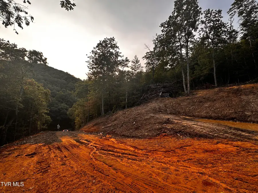 1700 Kelley Gap Road, Greeneville, TN 37743 - #3