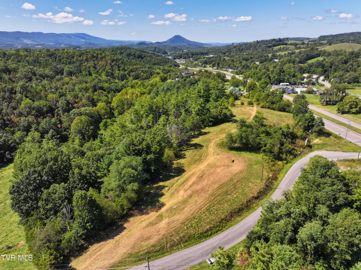 Tbd Willow Springs Road, Cedar Bluff, VA 24609 - Image #1