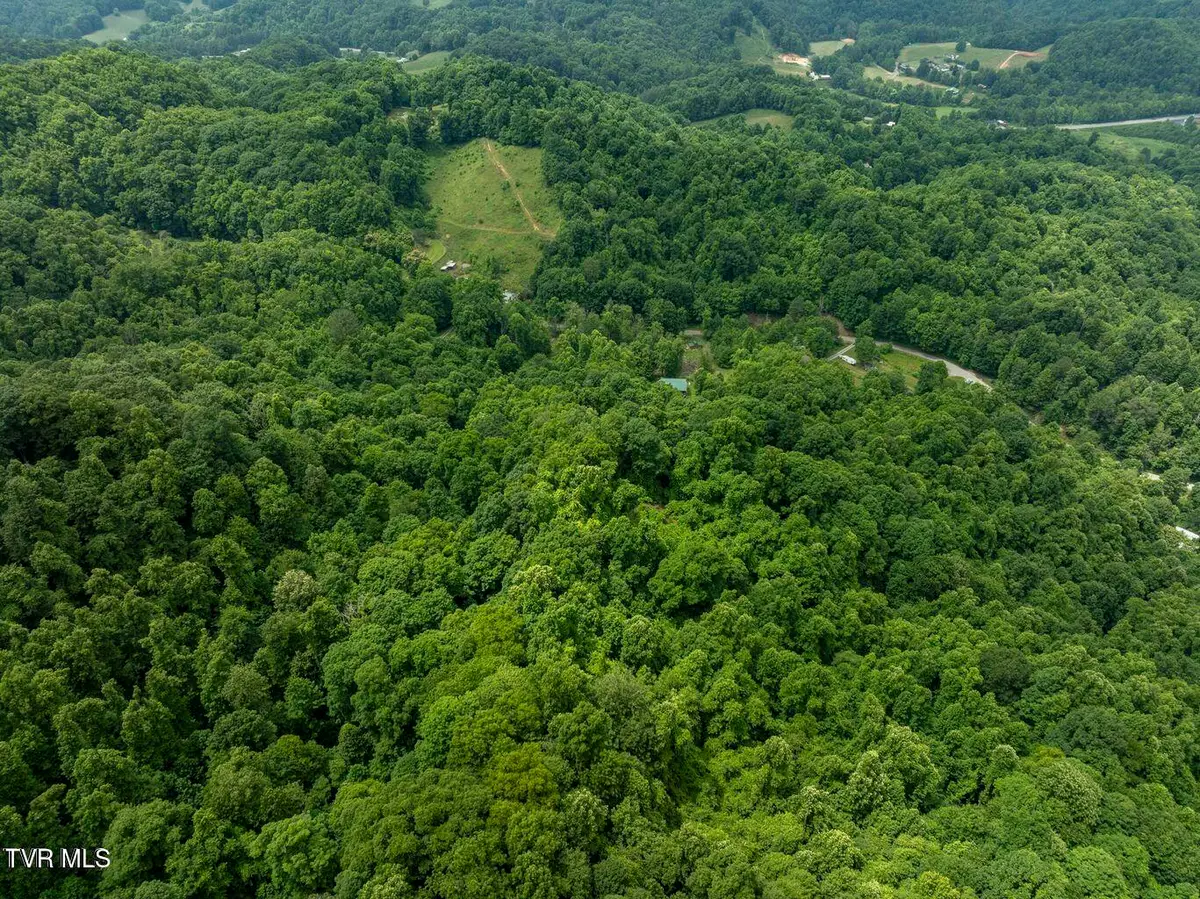 Tbd Whitehead Hollow Road, Roan Mountain, TN 37687 - Image #1