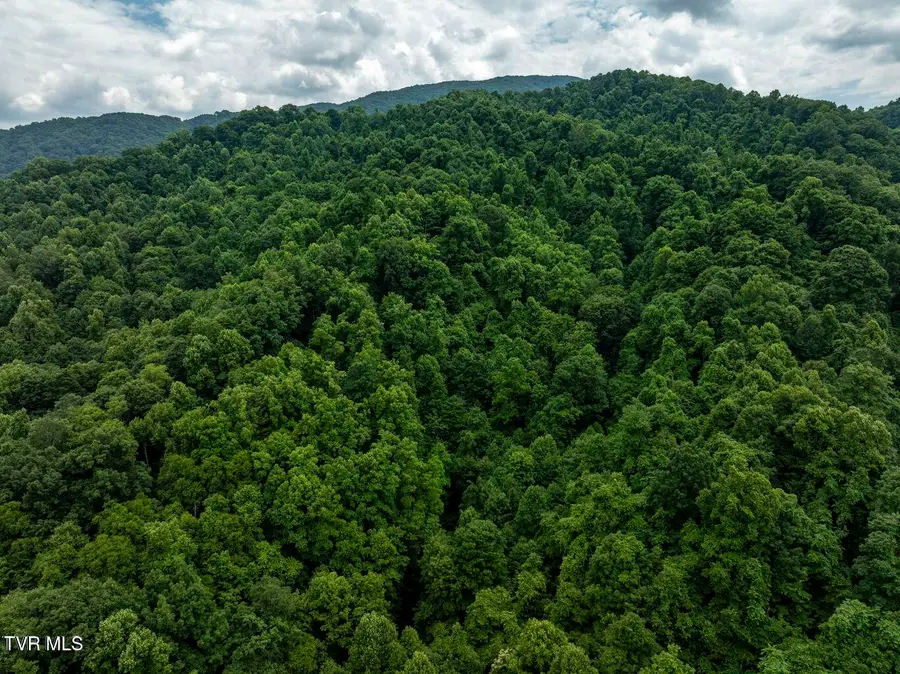Tbd Whitehead Hollow Road, Roan Mountain, TN 37687 - Image #2