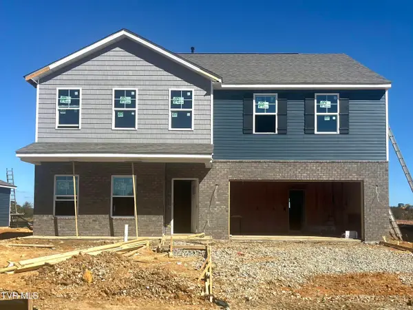 253 Artist Avenue, Johnson City, TN 37615