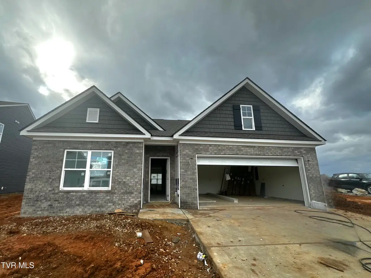 221 Chimney View Loop, Blountville, TN 37617 - Image #1