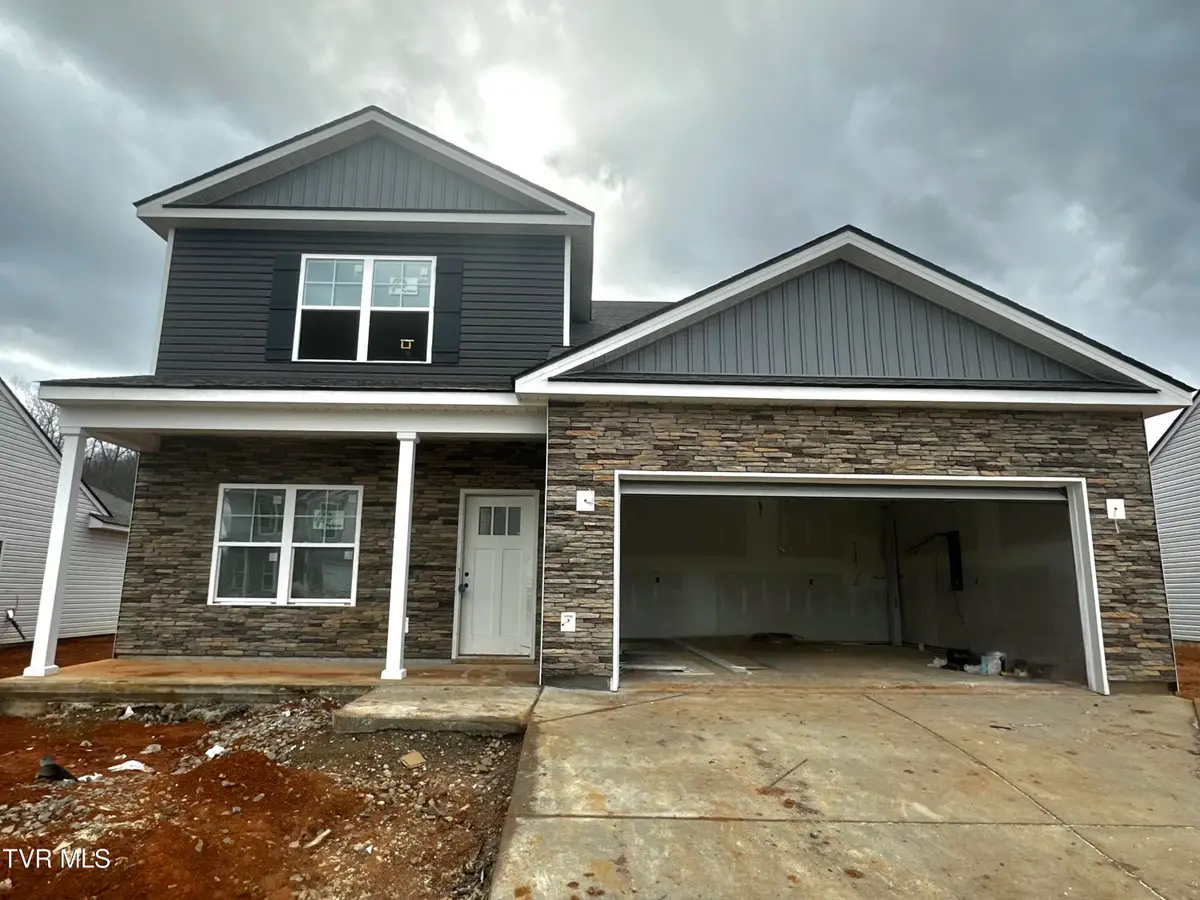 225 Chimney View Loop, Blountville, TN 37617 - Image #1