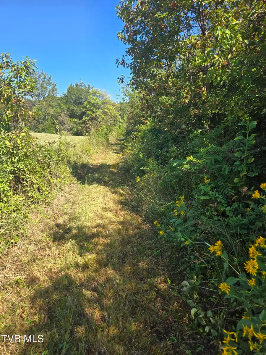 Tbd Poplar Springs Road, Greeneville, TN 37743 - #3