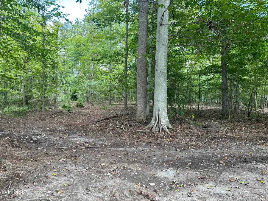 Lot 3 Highway 70s, Rogersville, TN 37857 - Image #2