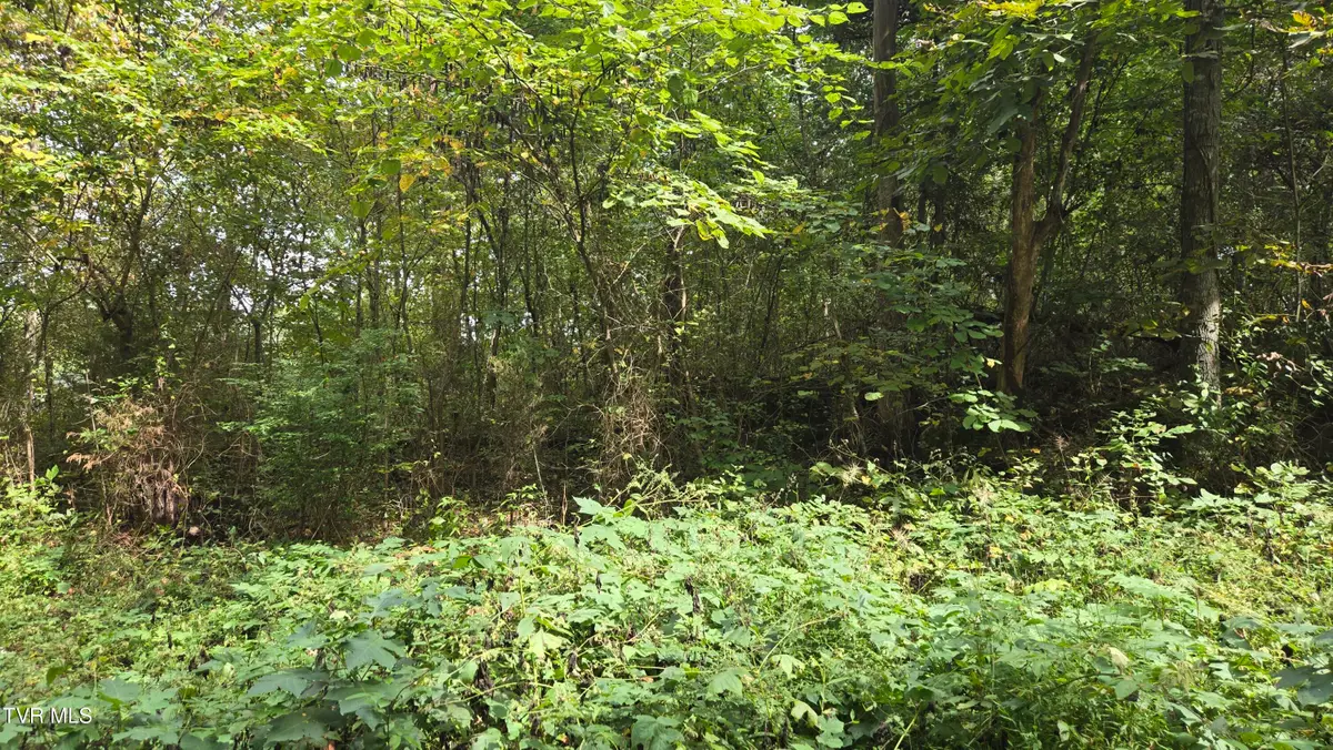 00 Blue Friday Road, Gray, TN 37615 - Image #1