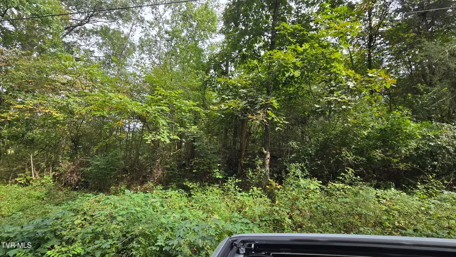 00 Blue Friday Road, Gray, TN 37615 - Image #3