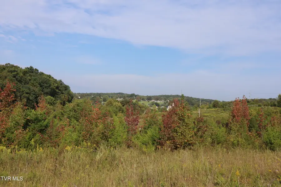 295 Dulaney Road, Mosheim, TN 37818 - Image #2