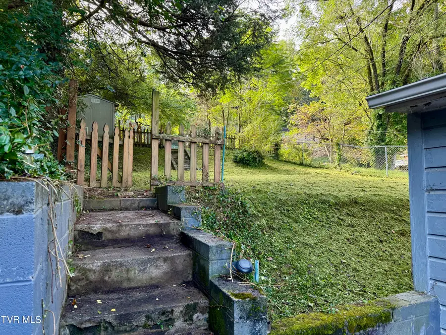 433 West Poplar Street, Johnson City, TN 37604 - Image #3