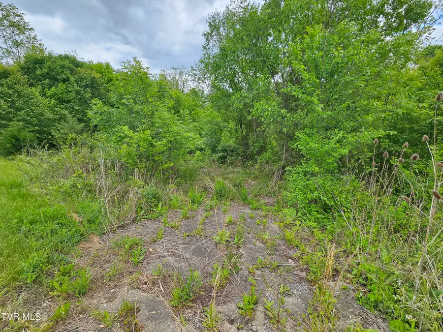 00 Fordtown Road, Kingsport, TN 37663 - Image #3